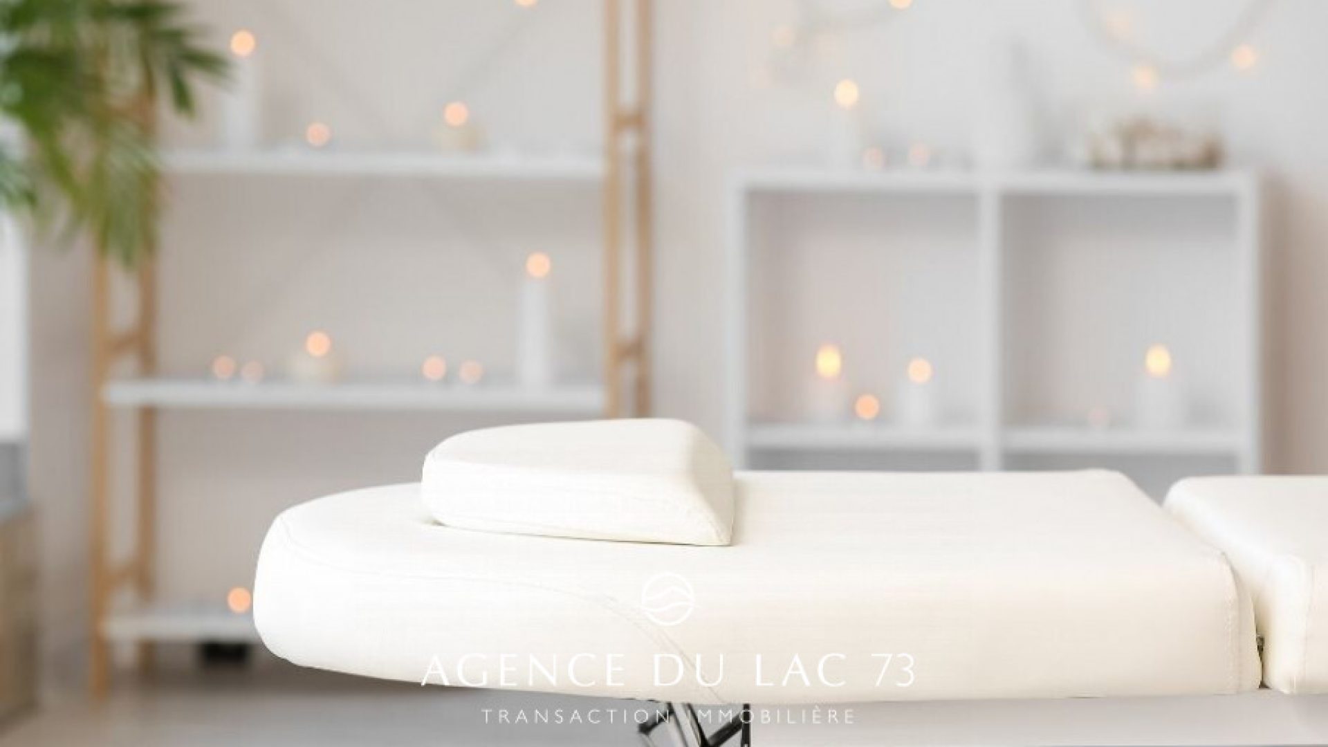 agence du lac 73-immobilier-bureaux-professions-medicales-brison-2