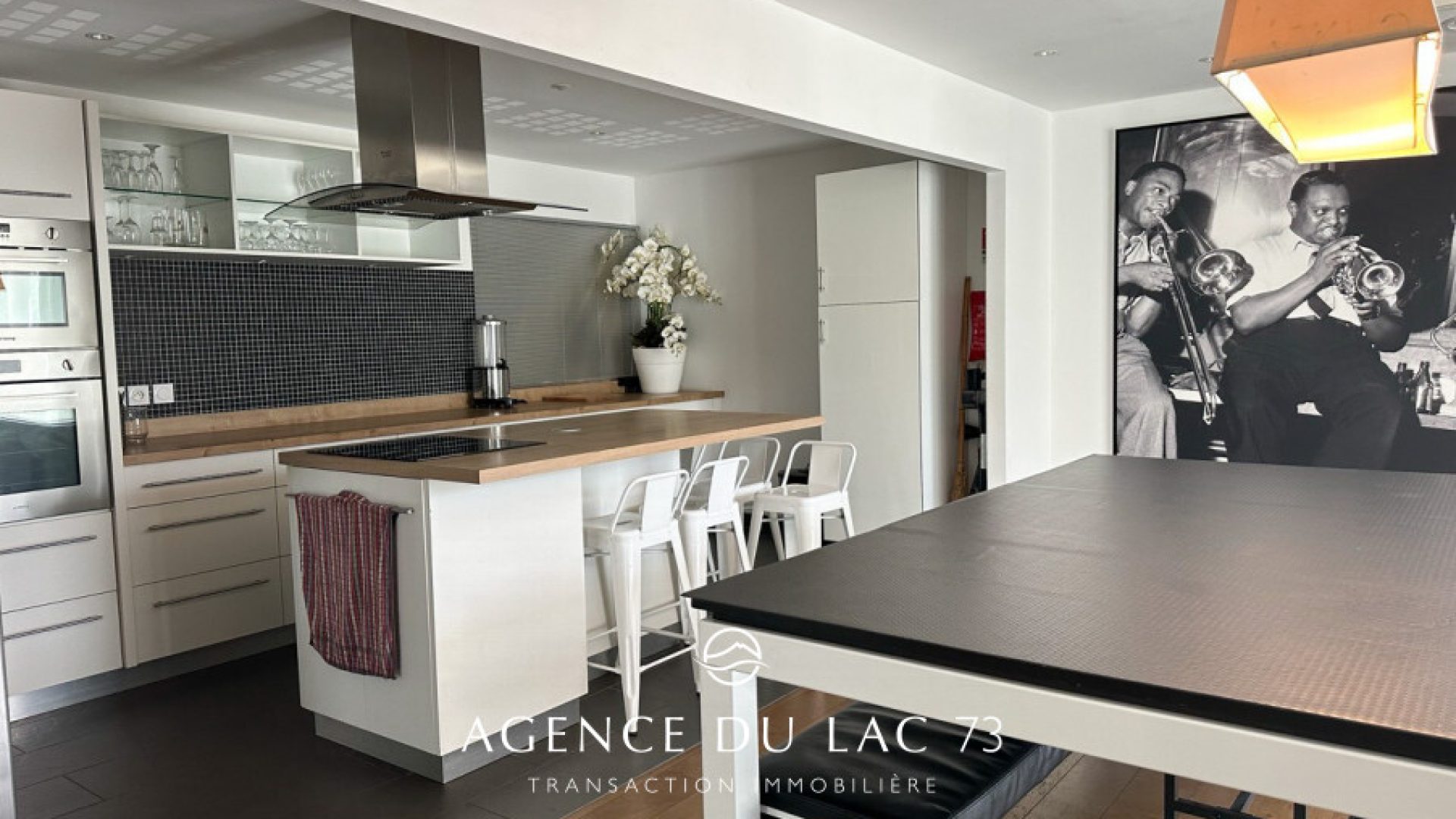 agence du lac 73 immobilier-grand appartement-aix les bains-residence boviva-14