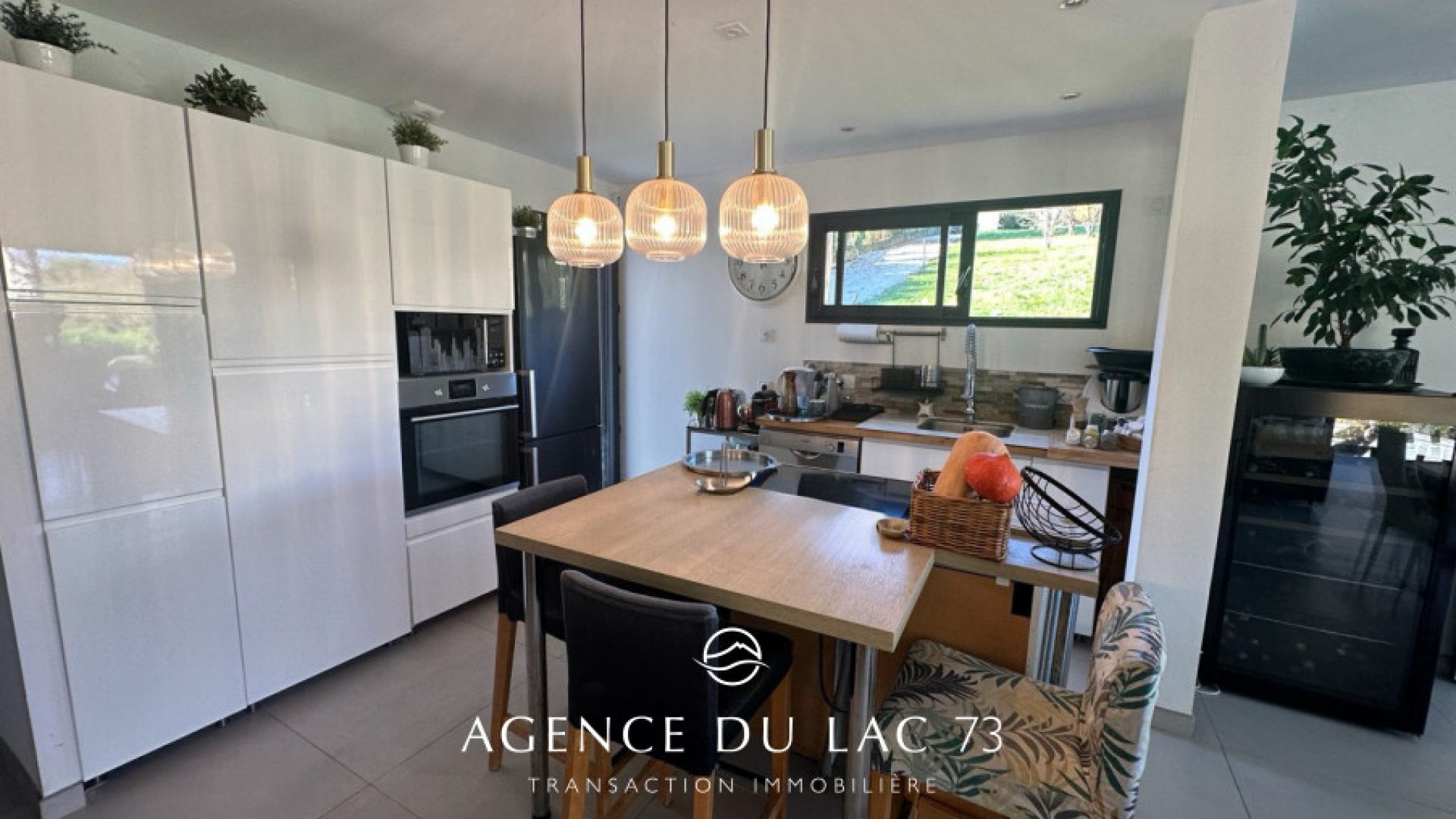 agence du lac 73-immobilier-villa-vignes-brison (9)